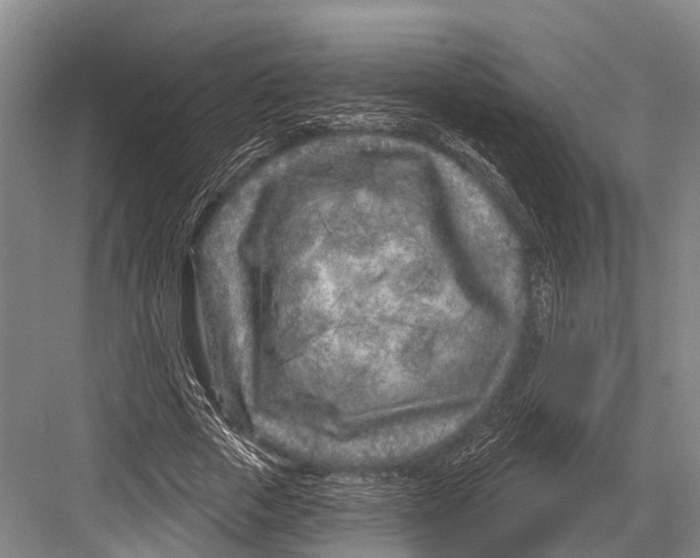 X0000082730729200702161906