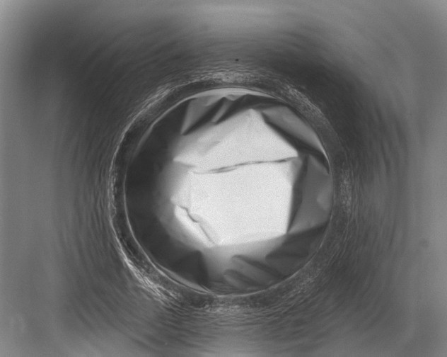 X0000082730730200702161906