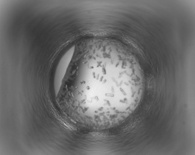 X0000082730733200702161906