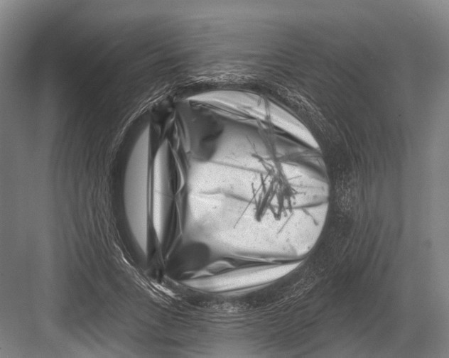 X0000082730735200702161906