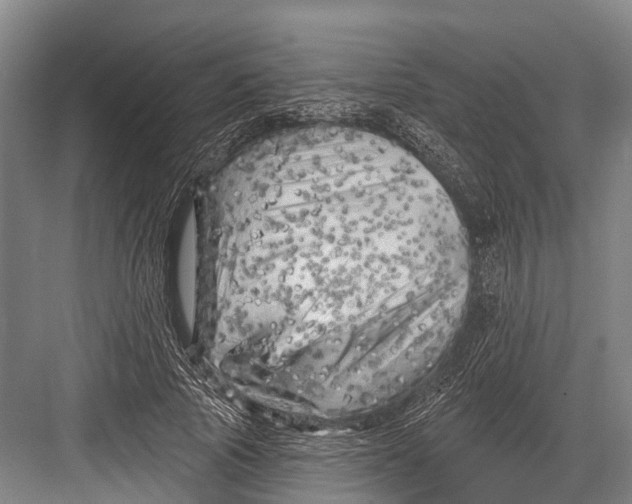 X0000082730737200702161907