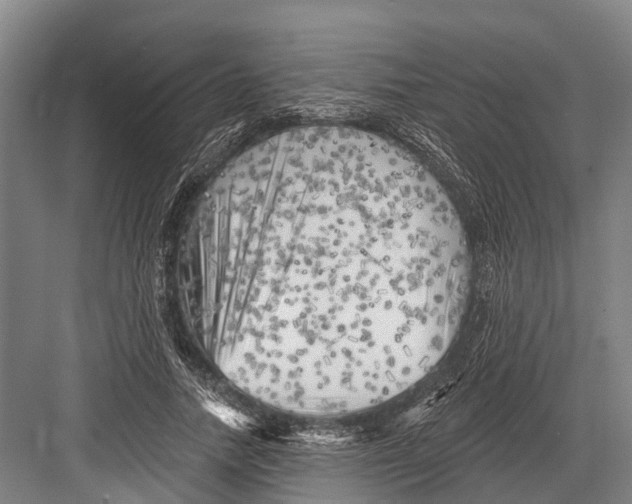 X0000082730738200702161907