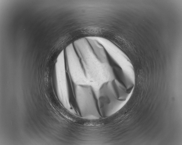 X0000082730739200702161907