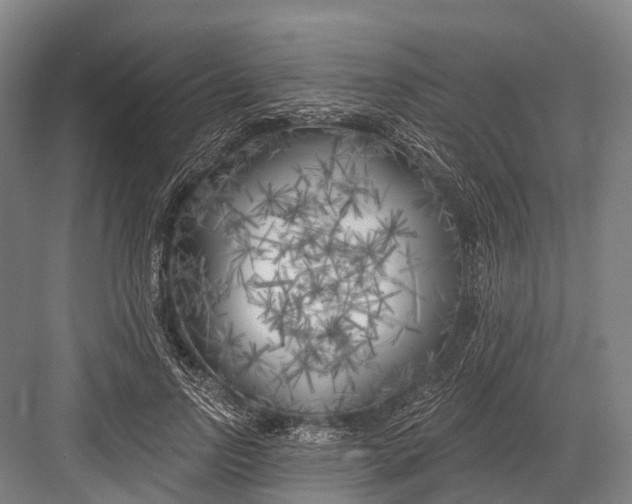 X0000082730742200702161907