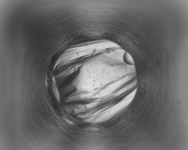 X0000082730743200702161907