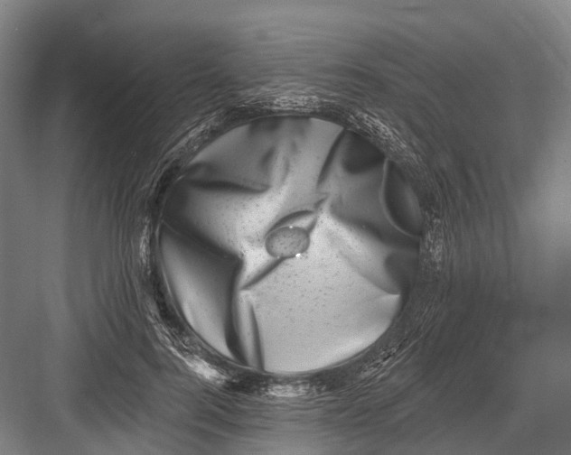 X0000082730744200702161907