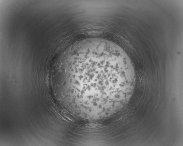 X0000082730745200702161907