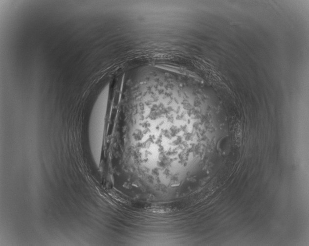 X0000082730746200702161907