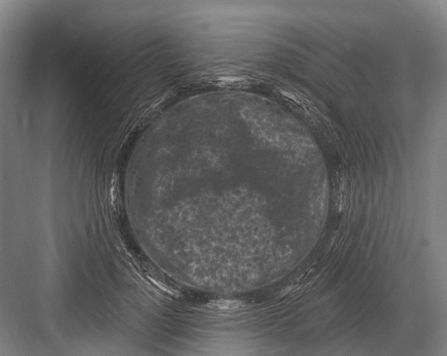 X0000082730748200702161907