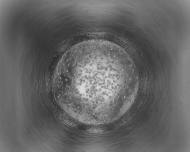 X0000082730749200702161907