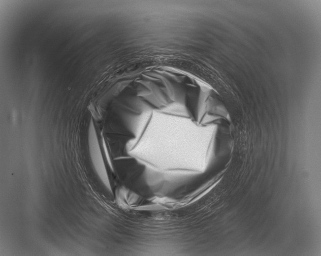 X0000082730750200702161907