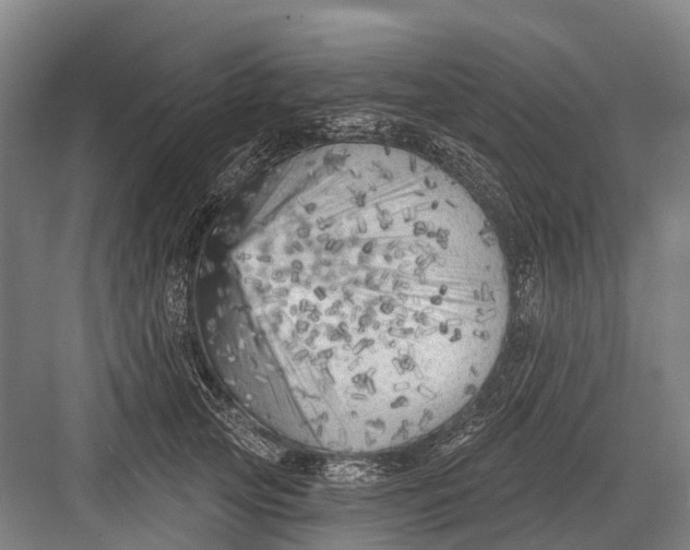 X0000082730753200702161907