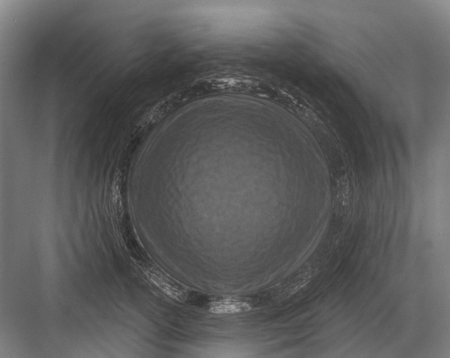 X0000082730754200702161907