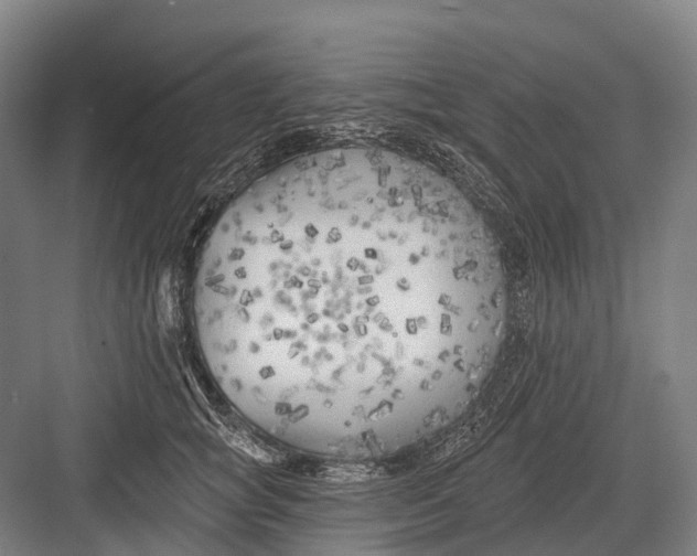 X0000082730757200702161907