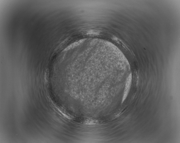 X0000082730760200702161907