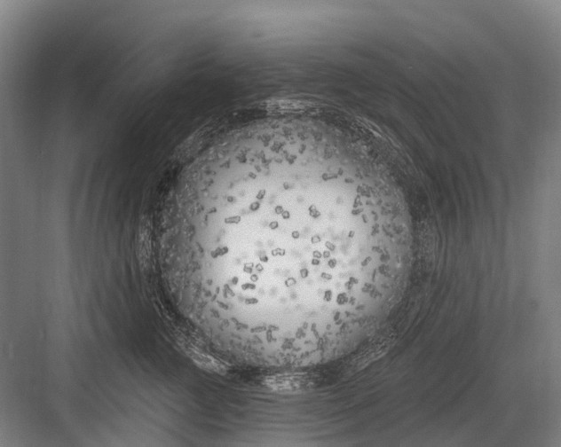 X0000082730761200702161907