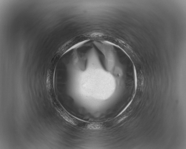 X0000082730762200702161907