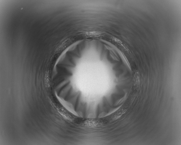 X0000082730764200702161907