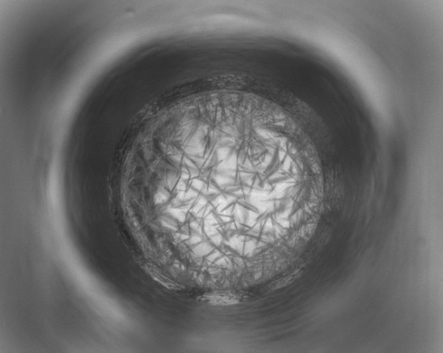 X0000082730765200702161907