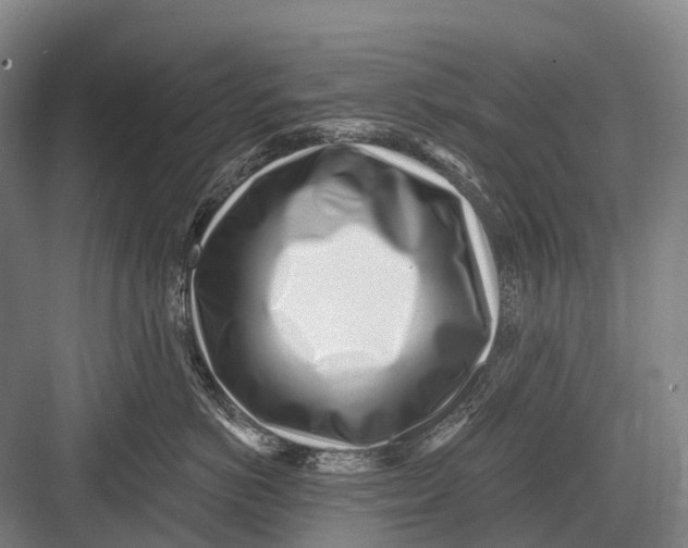 X0000082730766200702161907