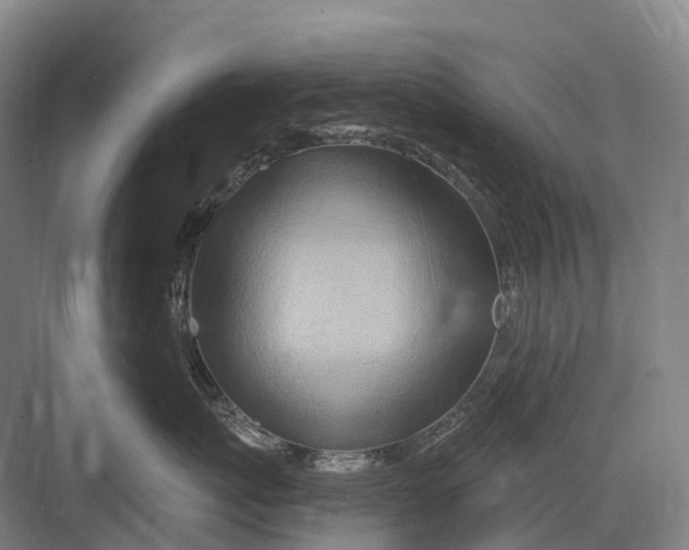 X0000082730767200702161907