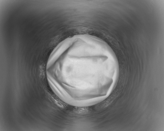 X0000082730768200702161907