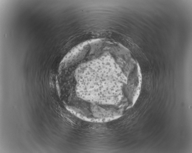 X0000082730770200702161906