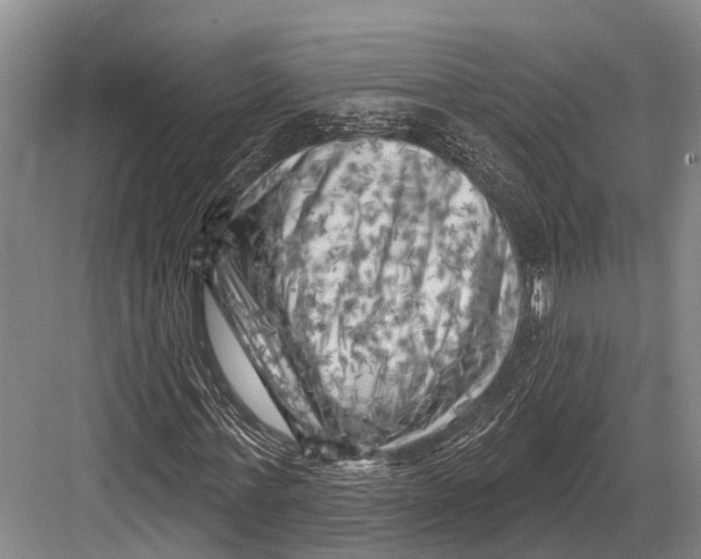 X0000082730771200702161906