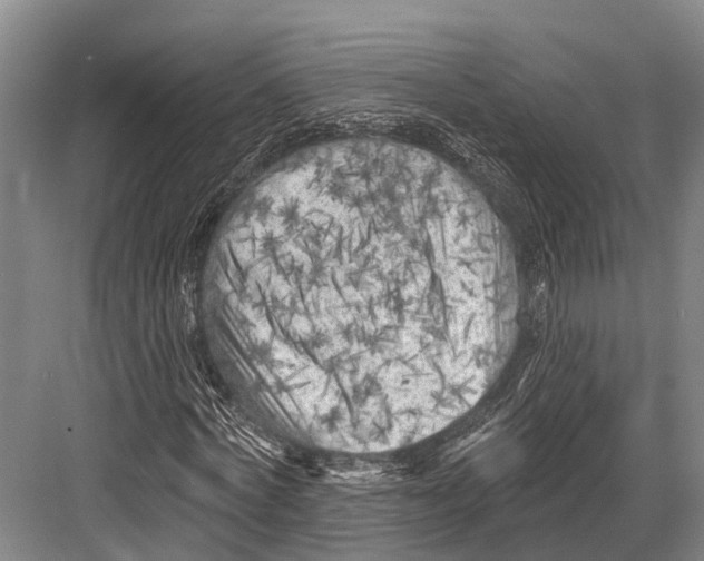 X0000082730772200702161906