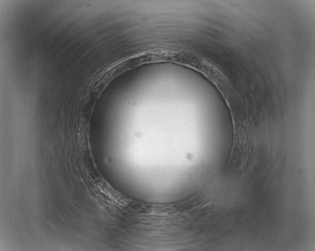 X0000082730773200702161906