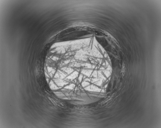 X0000082730775200702161906