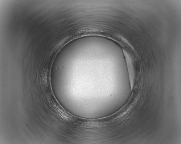 X0000082730777200702161906