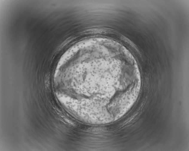 X0000082730778200702161906