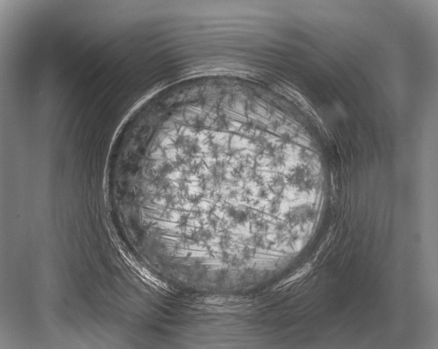 X0000082730780200702161906