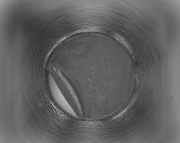 X0000082730781200702161906