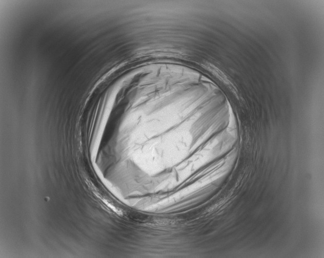 X0000082730782200702161906