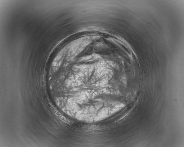 X0000082730783200702161906