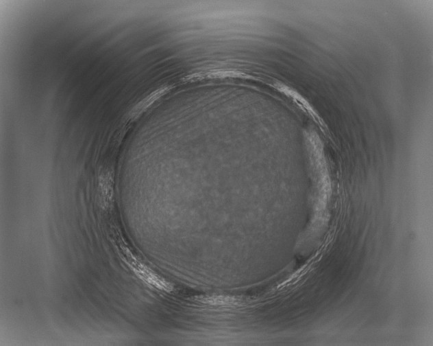 X0000082730785200702161906