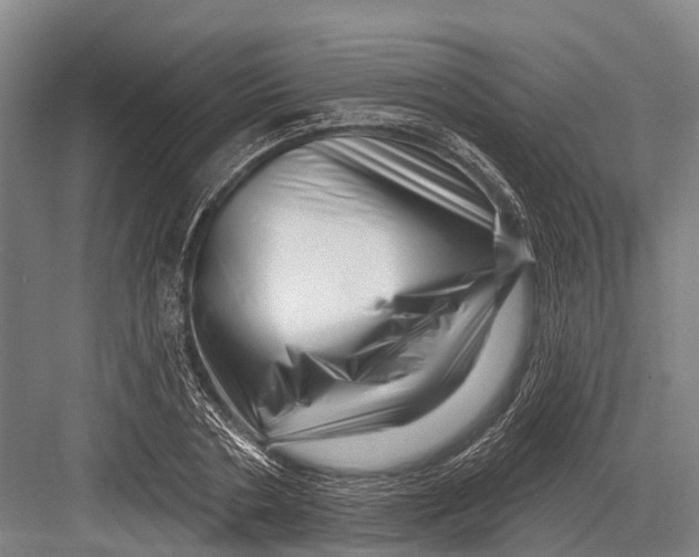 X0000082730786200702161906