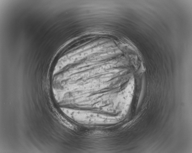 X0000082730787200702161906