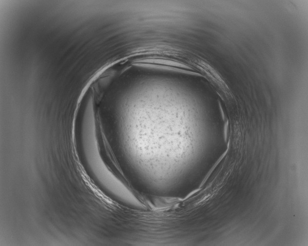 X0000082730788200702161906