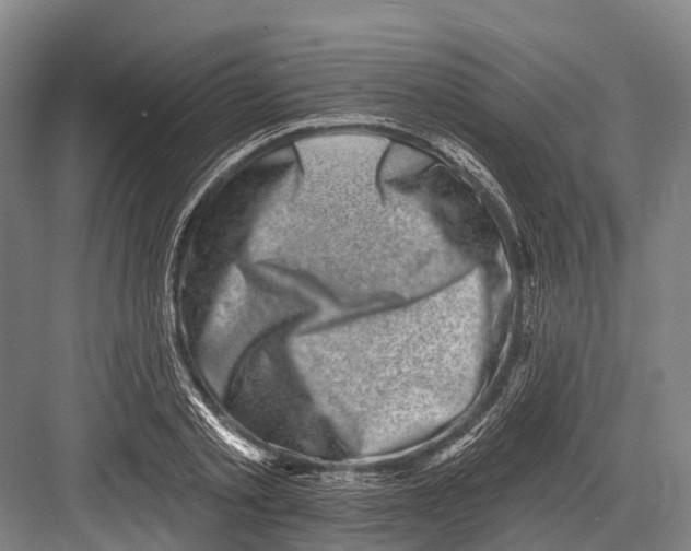 X0000082730789200702161906