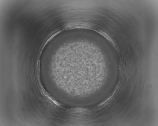 X0000082730790200702161906