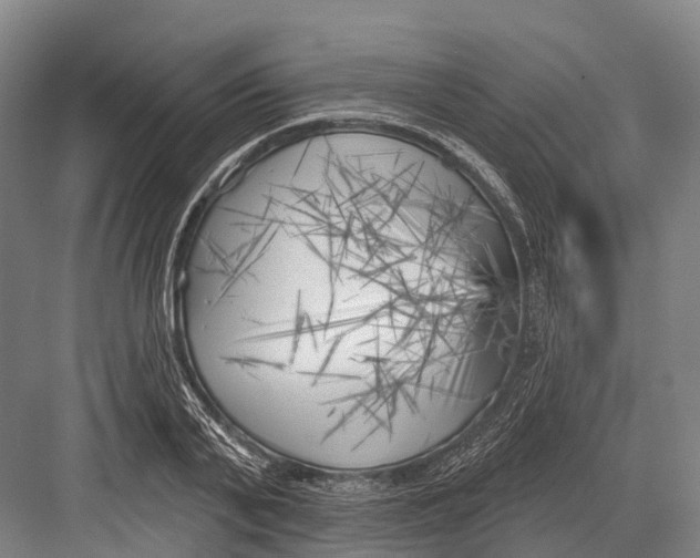 X0000082730791200702161906