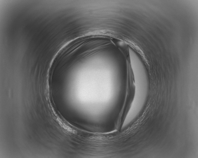 X0000082730792200702161906