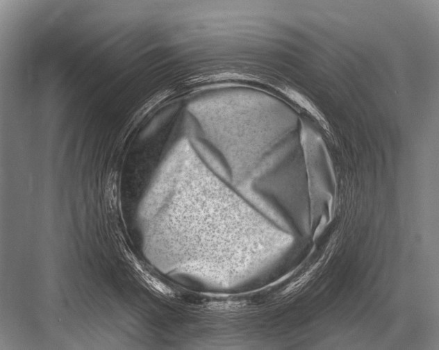 X0000082730793200702161906