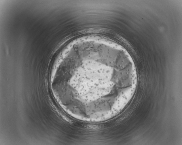 X0000082730794200702161906