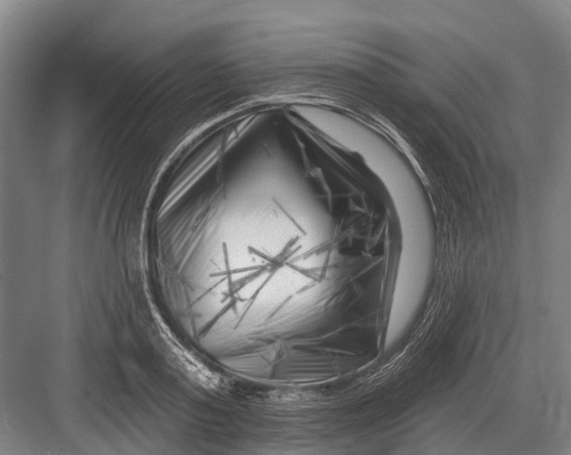 X0000082730795200702161906