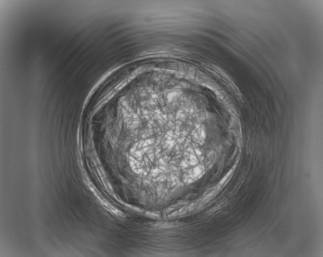 X0000082730796200702161906