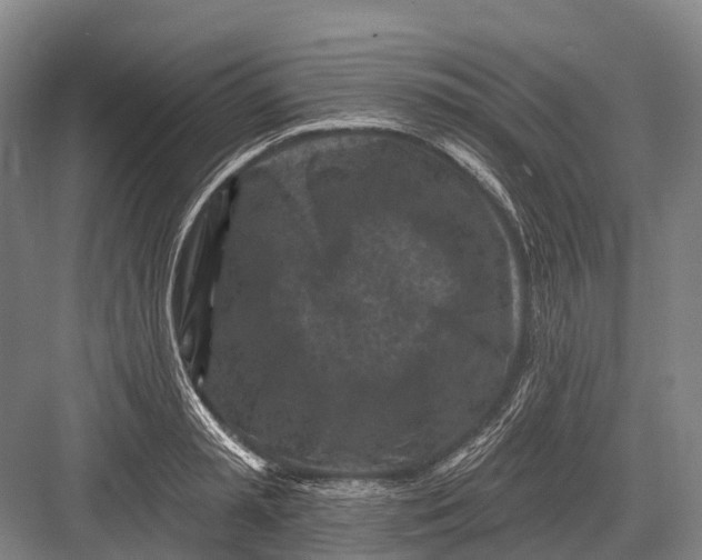 X0000082730797200702161906